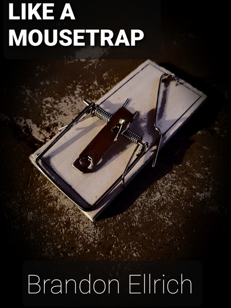 Book cover of "Like a Mousetrap"