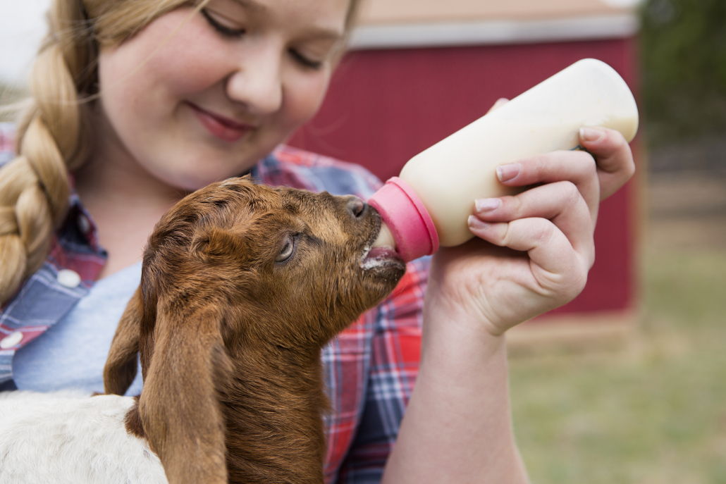 3 Priorities for Nursing Baby Animals