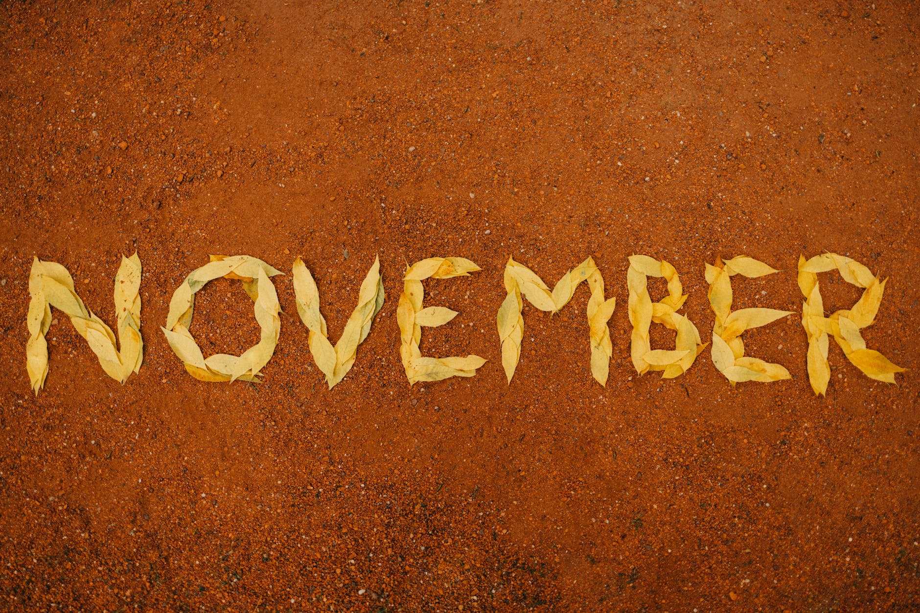 Peace and Battle - image shows the word November spelled out with leaves on a brown dirt surface.