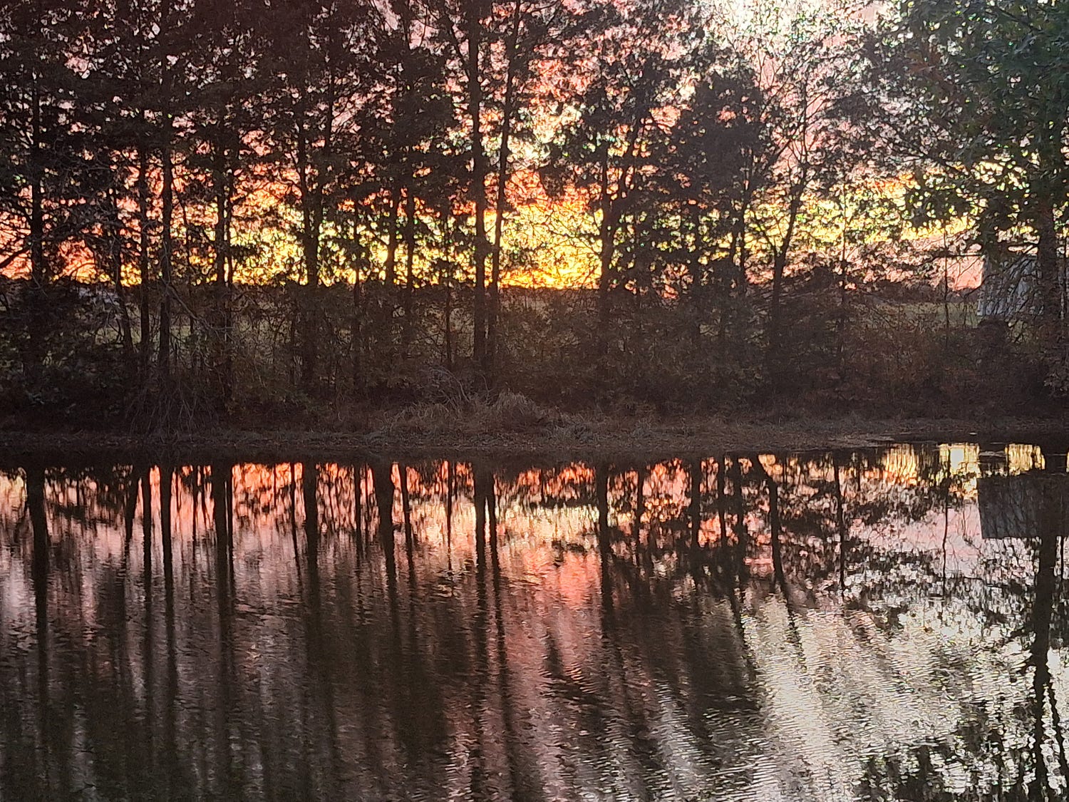 A colorful horizon behind a silhouette of trees and a pond below reflecting the scene.